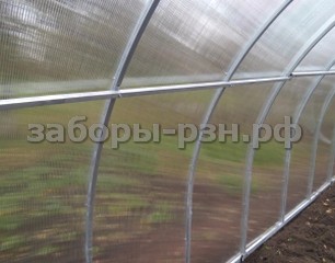 теплица из поликарбоната